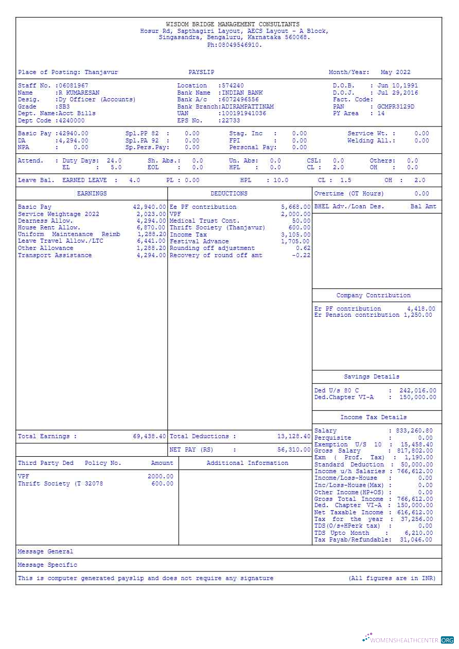 Download Wisdom Bridge Management Consultants payslip template in Word and PDF formats.pdf, 6 Photoshop template
